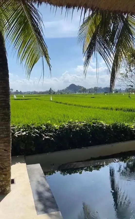 Crescent Moon Villa Ubud  Indonesia